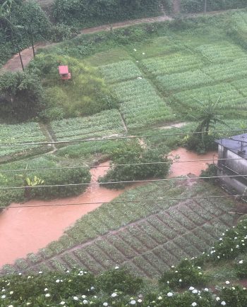 Kandy Cyclone Relief Fund – Emergency Support Donation