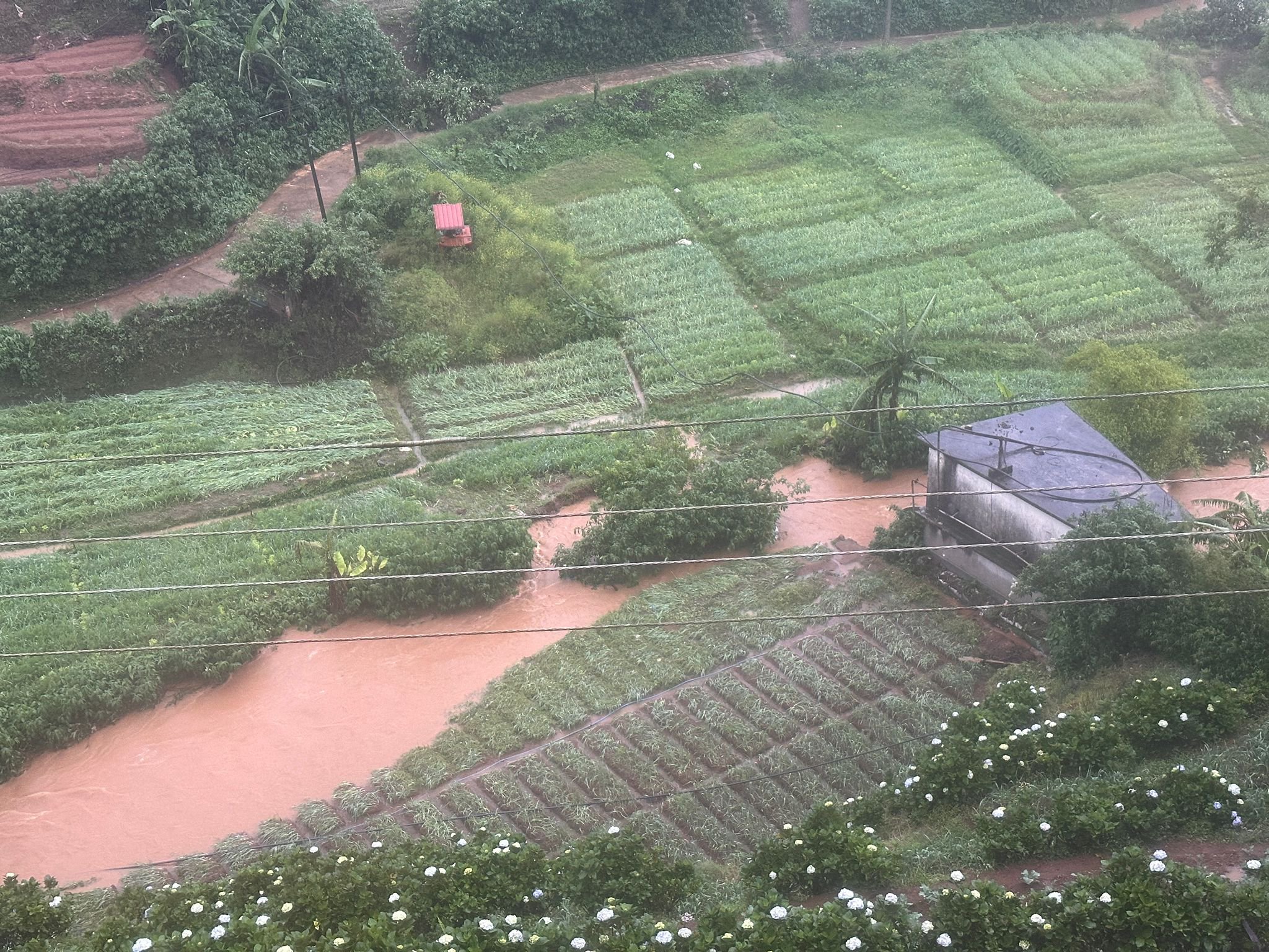 Kandy Cyclone Relief Fund – Emergency Support Donation